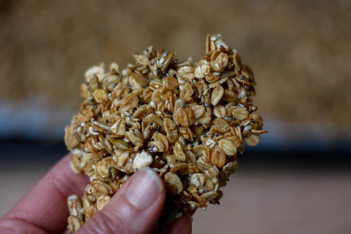 A large shard of granola held between fingers.